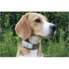 GPS Weenect Chien -Trixie Magasin 019802b7b1a790db2cd89708a626c70bdfc3984374fb59d7842e60883987e3a2