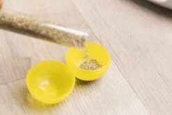 Trixie Jeu Pour Chat Ball Race & Scratch Ø 37cm -Trixie Magasin 02e67a4b0827a7c9ec69a17d5ee114f0da3b91bf340d52966099554ef3dd9f23