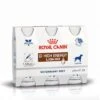 Royal Canin GI High Energy Liquid - 3 Flacons De 200ml -Trixie Magasin 18dd35214d12cda2d1d4ace436a854e5871c2bf9921299eb25f4f45bcdb6f150