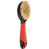 Flamingo Brosse En Poils De Porc Avec Poignée 1 Flamingo Brosse En Poils De Porc Avec Poignée -Trixie Magasin 3676fd2c28baf0e1be03190b5f8a95301afe169a8aa03efa91ca177960527f54