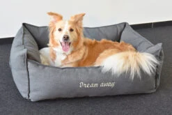 Flamingo Panier Dream Away Rectangulaire Fermeture Eclair Gris 70x50x25cm 13 Flamingo Panier Dream Away Rectangulaire Fermeture Eclair Gris 70x50x25cm -Trixie Magasin 37f8f9d2bcfc787457edfad65b22465252c2a8c68572c85fe01192a8db693fd9