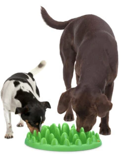 Flamingo Gamelle Anti-glouton Northmate Green Vert 40x30x10cm -Trixie Magasin 3bd69df38c899d0127b8891c10859befa4b75c6b60e1a92b37e8a12483df8c13