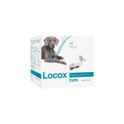 Locox 30 Comprimés
