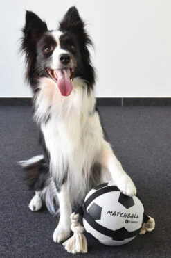 Flamingo Jouet Chien Matchball Balle De Foot 12,5cm 8 Flamingo Jouet Chien Matchball Balle De Foot 12,5cm -Trixie Magasin 40ceb270f0ae1d84ac34a9c72537280e20e86552eaf2ba2e45995c5537755e53