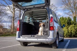 Trixie Protection Chien Pour Voiture Avec Fixations Aux Appuies-tête 105-172 Cm -Trixie Magasin 43b9171670aa632db8d0b50216bda1040921a87f11069c8ac80902918560e8aa