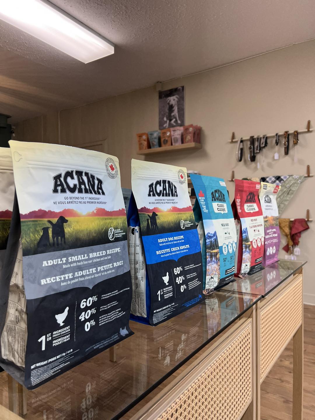 Trixie Magasin -Trixie Magasin 504700255 122123784446819058 40450239877056970 n