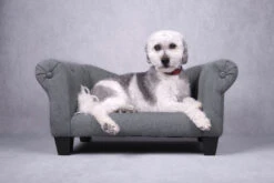 Flamingo Sofa Maximilien Gris 71x45x34cm -Trixie Magasin 520605 S 01