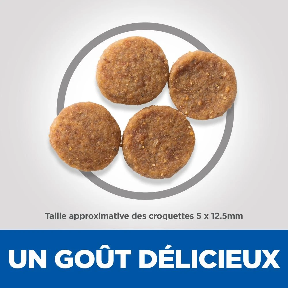 Hill's Science Plan Senior Vitality Croquettes Pour Chien âgé Au Poulet 14Kg 6 Hill's Science Plan Senior Vitality Croquettes Pour Chien âgé Au Poulet 14Kg – Image 4