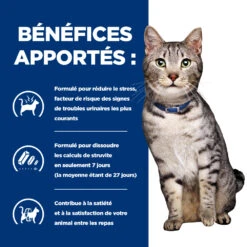 Hill's Prescription Diet C/D Urinay Stress + Metabolic Croquettes Pour Chat Au Poulet 17 Hill's Prescription Diet C/D Urinay Stress + Metabolic Croquettes Pour Chat Au Poulet -Trixie Magasin 52742037417 4 prescription diet chat urinary stress metabolic croquettes