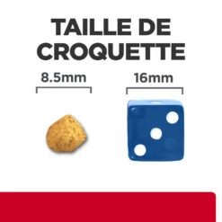 Hill's Prescription Diet C/D Urinay Stress + Metabolic Croquettes Pour Chat Au Poulet 19 Hill's Prescription Diet C/D Urinay Stress + Metabolic Croquettes Pour Chat Au Poulet -Trixie Magasin 52742037417 6 prescription diet chat urinary stress metabolic croquettes