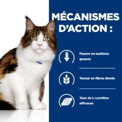 Hill's Prescription Diet W/D Multi Benefit Croquettes Et Boîtes Pour Chat Au Poulet -Trixie Magasin 52742042251 5 prescription diet chat w d croquettes poulet