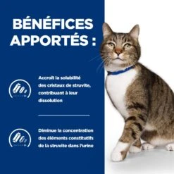 Hill's Prescription Diet S/D Urinary Croquettes Pour Chat Au Poulet 13 Hill's Prescription Diet S/D Urinary Croquettes Pour Chat Au Poulet -Trixie Magasin 52742042473 3 prescription diet chat s d croquettes poulet