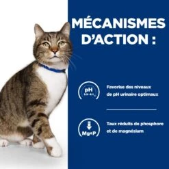 Hill's Prescription Diet S/D Urinary Croquettes Pour Chat Au Poulet 14 Hill's Prescription Diet S/D Urinary Croquettes Pour Chat Au Poulet -Trixie Magasin 52742042473 4 prescription diet chat s d croquettes poulet
