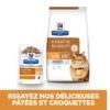 Hill's Prescription Diet K/D + Mobility Croquettes Pour Chat Au Poulet -Trixie Magasin 52742044767 3 prescription diet chat k d mobility croquettes poulet