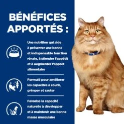 Hill's Prescription Diet K/D + Mobility Croquettes Pour Chat Au Poulet 16 Hill's Prescription Diet K/D + Mobility Croquettes Pour Chat Au Poulet -Trixie Magasin 52742044767 4 prescription diet chat k d mobility croquettes poulet