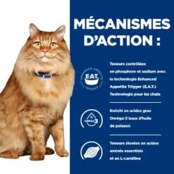 Hill's Prescription Diet K/D + Mobility Croquettes Pour Chat Au Poulet 17 Hill's Prescription Diet K/D + Mobility Croquettes Pour Chat Au Poulet -Trixie Magasin 52742044767 5 prescription diet chat k d mobility croquettes poulet