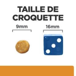 Hill's Prescription Diet K/D + Mobility Croquettes Pour Chat Au Poulet 18 Hill's Prescription Diet K/D + Mobility Croquettes Pour Chat Au Poulet -Trixie Magasin 52742044767 6 prescription diet chat k d mobility croquettes poulet