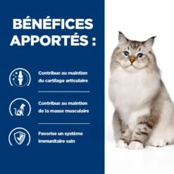 Hill's Prescription Diet J/D Croquettes Pour Chat Au Poulet -Trixie Magasin 52742048352 3 prescription diet chat j d croquettes poulet 1