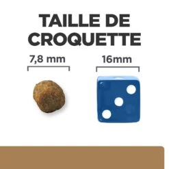 Hill's Prescription Diet J/D Croquettes Pour Chat Au Poulet -Trixie Magasin 52742048352 5 prescription diet chat j d croquettes poulet