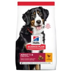 Hill's Science Plan Adult Croquettes Pour Grand Chien Au Poulet -Trixie Magasin 52742121109 1 science plan chien adulte large croquettes poulet 1 1