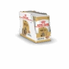 Royal Canin Shih Tzu 12x 85g