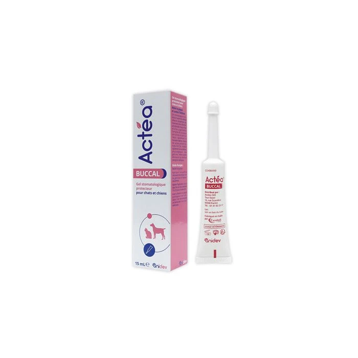 Actea Buccal 15 Ml 3 Actea Buccal 15 Ml