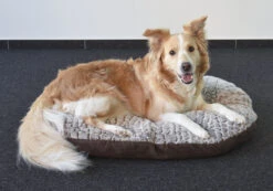 Flamingo Coussin Snoozzy Ovale Fermeture Eclair Brun 90x66x10cm -Trixie Magasin 637512647d721696dc3779cc78818d65a2760ed947c44a595a1ea79f07552dfb