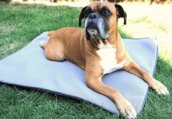 Matelas Anti-escarres Confort4pattes -Trixie Magasin 638baae81eb1e1760e928973f328af13c93fa40d74fa34b96d53b09ed3adbfed