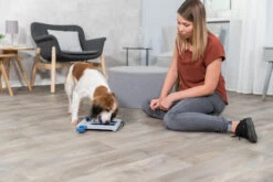 Trixie Jeu De Stratégie Pour Chien Mini Mover 25 X 20 Cm -Trixie Magasin 651eb7867f8946af7cf41f9ac1bbd13776f1ac8a5b17493ef8bf0c54cd8d3201