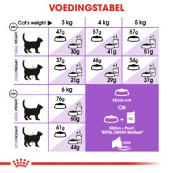 Royal Canin Sterilised Pour Chat 10kg 5 Royal Canin Sterilised Pour Chat 10kg -Trixie Magasin 65705f741b4a7291a475340ec6f05ff0a72b28caf4edd87aa2f986f944ce9ebe