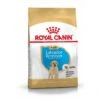 Royal Canin Labrador Retriever Chiot Pour Chien 12kg -Trixie Magasin 694034904b6148ca69ba76feb0ac570c29202d27bc55e86515cc95817059851e