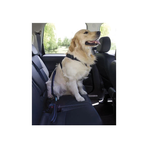 LAISSE SÉCURITÉ AUTO 4 LAISSE SÉCURITÉ AUTO – Image 2