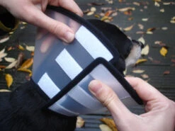 Flamingo Carcan Capo 38,5cm -Trixie Magasin 6a49ce8ac076c3841c6f50f7e51b24655faca046434a3c86371644c1769f8e05