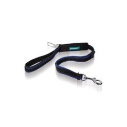 LAISSE SÉCURITÉ AUTO