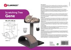 Flamingo Arbre à Chat Gene Gris 35x37x45cm -Trixie Magasin 72a67dd77b2e4eb932adf5311b8cc7618891e80455323ce223017ea407888733