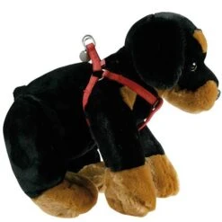 Harnais Mac Leather Rouge -Trixie Magasin 7fa2cc7bf2ad1ec1024d597f2fed499ec47bba7c76aba5ba669bf832ee56475f