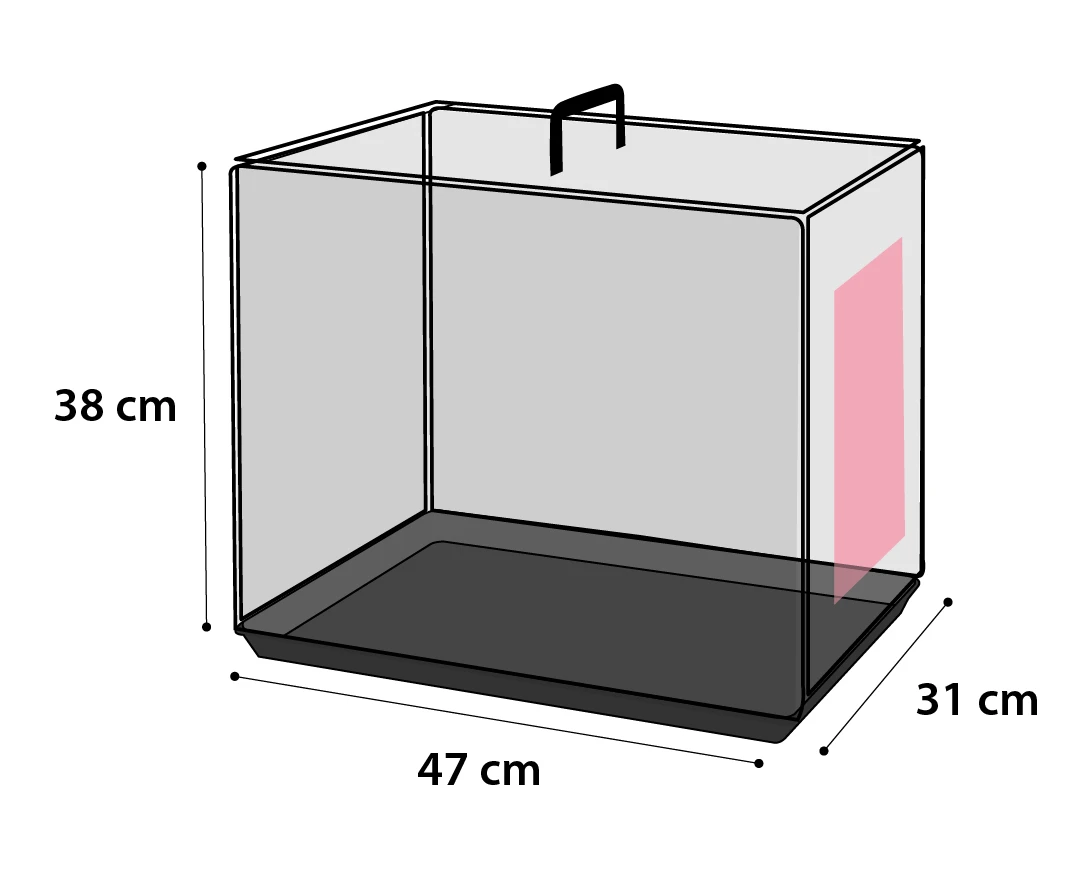 Flamingo Cage Pour Chien Ebo Noir Xs 47x31x38cm 5 Flamingo Cage Pour Chien Ebo Noir Xs 47x31x38cm – Image 3