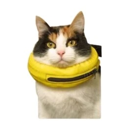 Collier Lune -Trixie Magasin 86eaa3c4e19da65cd3ccf16b9b644242d1ea36ae29fd6c84734ea4df7c7f1d52 1