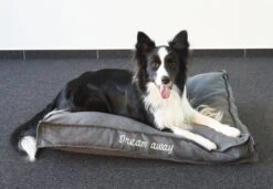 Flamingo Coussin Dream Away Rectangulaire+rebord+fermeture Eclair Gris 80x60x10cm -Trixie Magasin 8b20af957cd0e9159fdaec088098026b839b1c665fc0ece7ca837051d3f8cebf