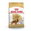 Royal Canin Cocker Adult Pour Chien 12kg -Trixie Magasin 8c18c11fe3164abf7b32a7d52261c65585da596a57b5bcc716a4da31485deabd