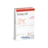 Wamine Vitalité 30 Comprimés 2 Wamine Vitalité 30 Comprimés -Trixie Magasin 92f73edf94e5955a3abcd5714010dc8d5d25b8e4a1c28f2cb79142df20806874