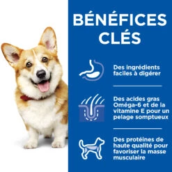 HILL'S SCIENCE PLAN HEALTHY CUISINE MIJOTÉS POUR CHIEN ADULTE SMALL & MINI AU POULET ET AU BŒUF 12X80G -Trixie Magasin Hill s science plan chien adult healthy cuisine mijotes sachet repas poulet boeuf 12x80g 8 FR