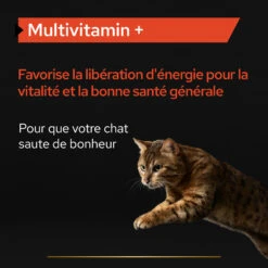 Purina PRO PLAN MULTIVITAMINS+ CHAT ALIMENT COMPLEMENTAIRE - 60G -Trixie Magasin PRO PLAN MULTIVITAMINS CAT SUPPLEMENT 60G 5 FR