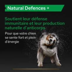 Purina PRO PLAN NATURAL DEFENSES+ CHIEN ALIMENT COMPLEMENTAIRE - 67G 18 Purina PRO PLAN NATURAL DEFENSES+ CHIEN ALIMENT COMPLEMENTAIRE - 67G -Trixie Magasin PRO PLAN NATURAL DEFENCES DOG SUPPLEMENT 67G 5 FR