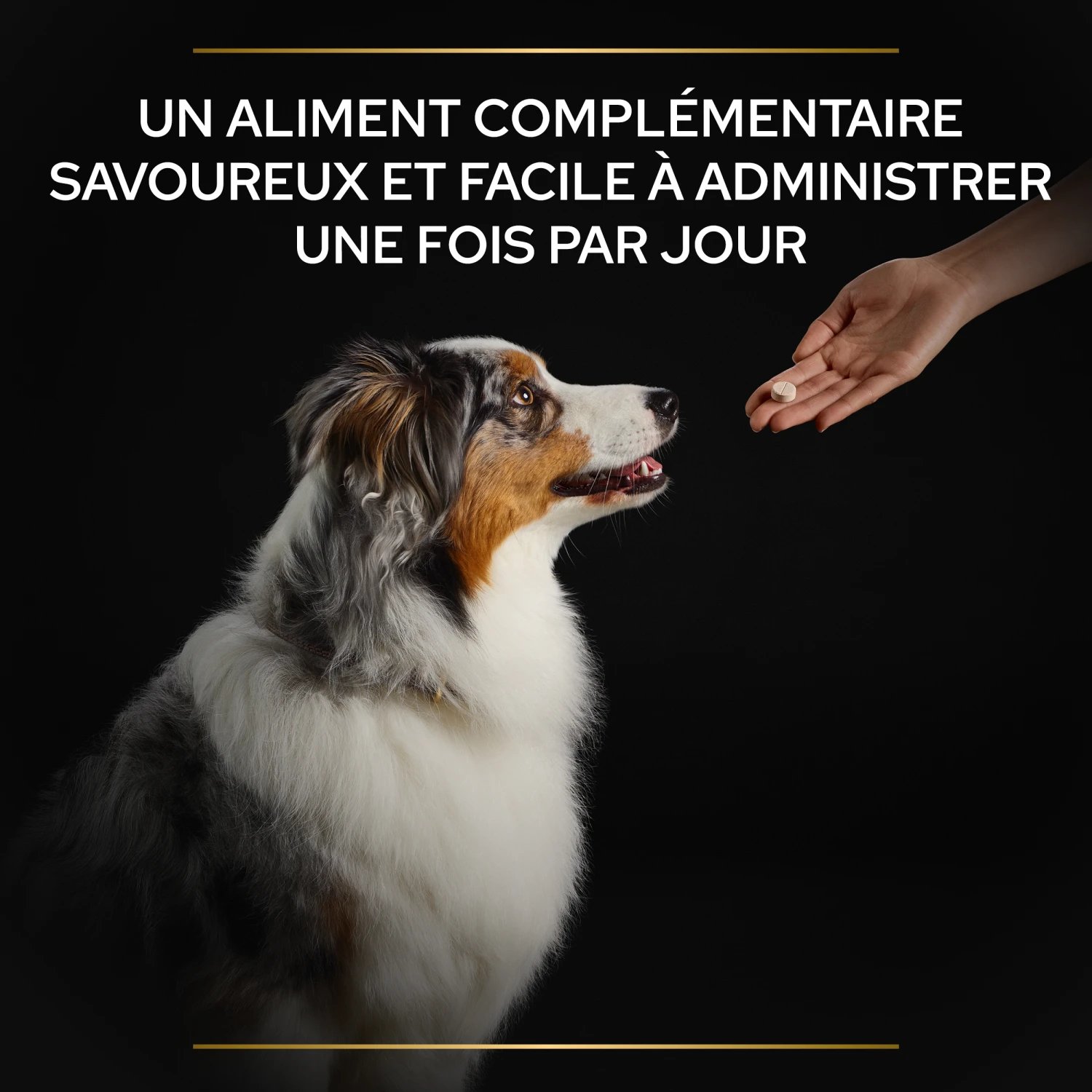 Purina PRO PLAN NATURAL DEFENSES+ CHIEN ALIMENT COMPLEMENTAIRE - 67G 10 Purina PRO PLAN NATURAL DEFENSES+ CHIEN ALIMENT COMPLEMENTAIRE - 67G – Image 8