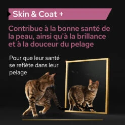 Purina PRO PLAN SKIN & COAT+ CHAT ALIMENT COMPLEMENTAIRE - 135G -Trixie Magasin PRO PLAN SKIN COAT CAT SUPPLEMENT 135G 5 FR