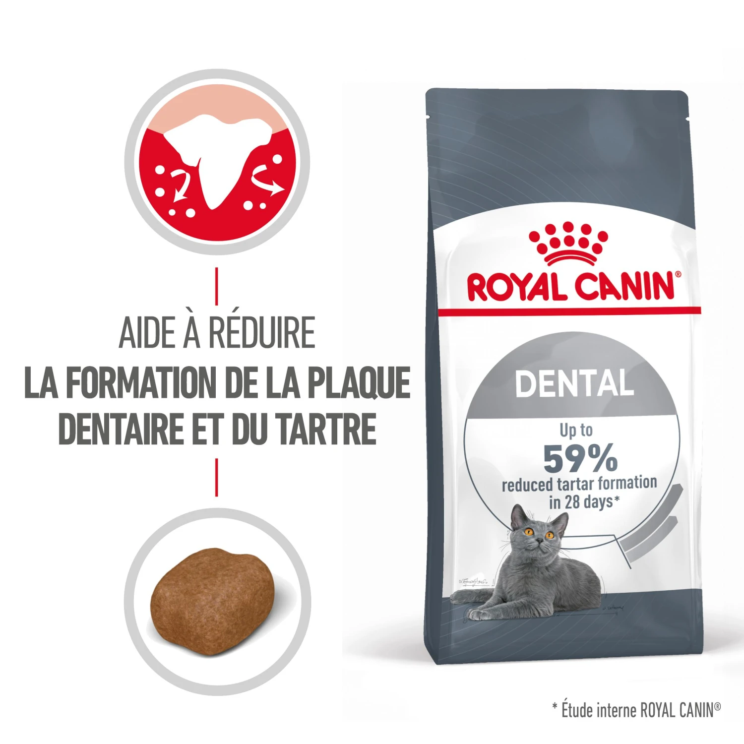 Royal Canin Dental Care Pour Chat 3,5kg 4 Royal Canin Dental Care Pour Chat 3,5kg – Image 2