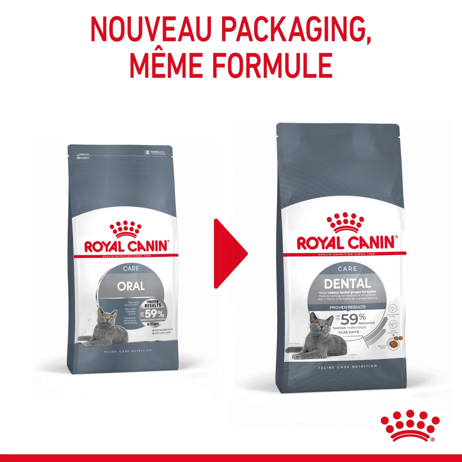 Royal Canin Dental Care Pour Chat 3,5kg 5 Royal Canin Dental Care Pour Chat 3,5kg – Image 3
