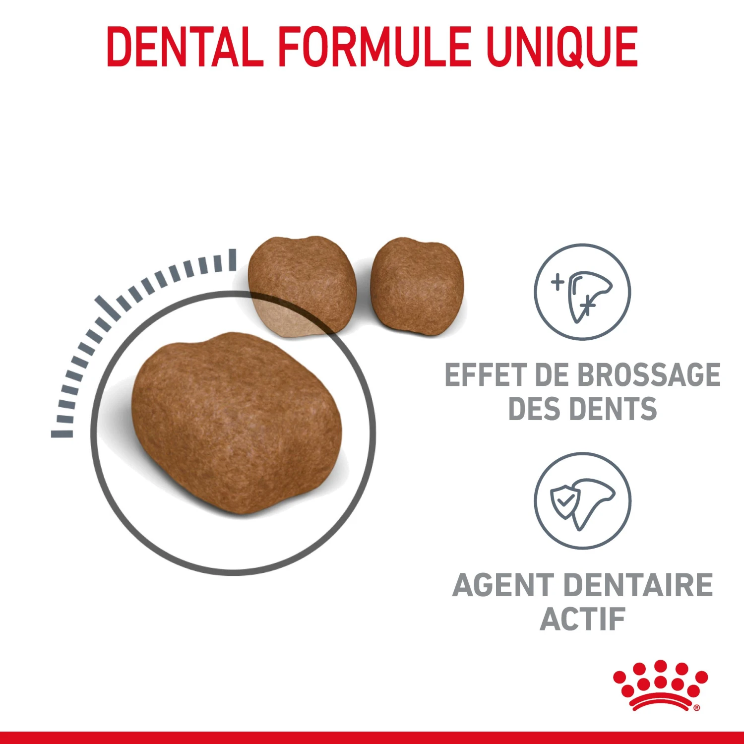 Royal Canin Dental Care Pour Chat 3,5kg 6 Royal Canin Dental Care Pour Chat 3,5kg – Image 4