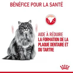 Royal Canin Dental Care Pour Chat 3,5kg 17 Royal Canin Dental Care Pour Chat 3,5kg -Trixie Magasin Royal Canin Dental Care Chat FR 06